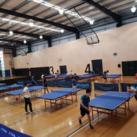 Table Tennis Program